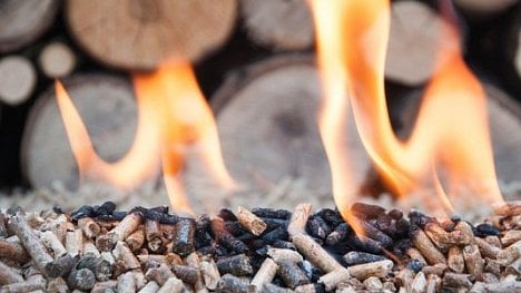 Náhledový obrázek - Vědci varují: spalování biomasy škodí klimatu