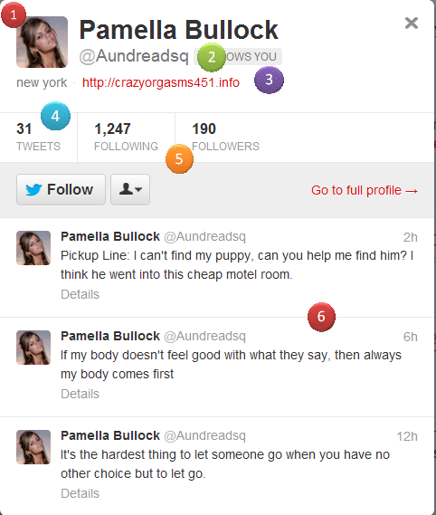 twitter bot pamella