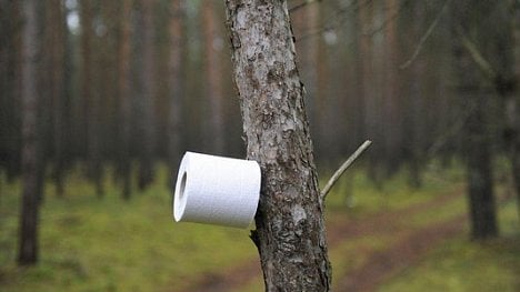 Náhledový obrázek - Lidstvo denně spláchne do záchodu 27 tisíc stromů. Startupy to chtějí změnit