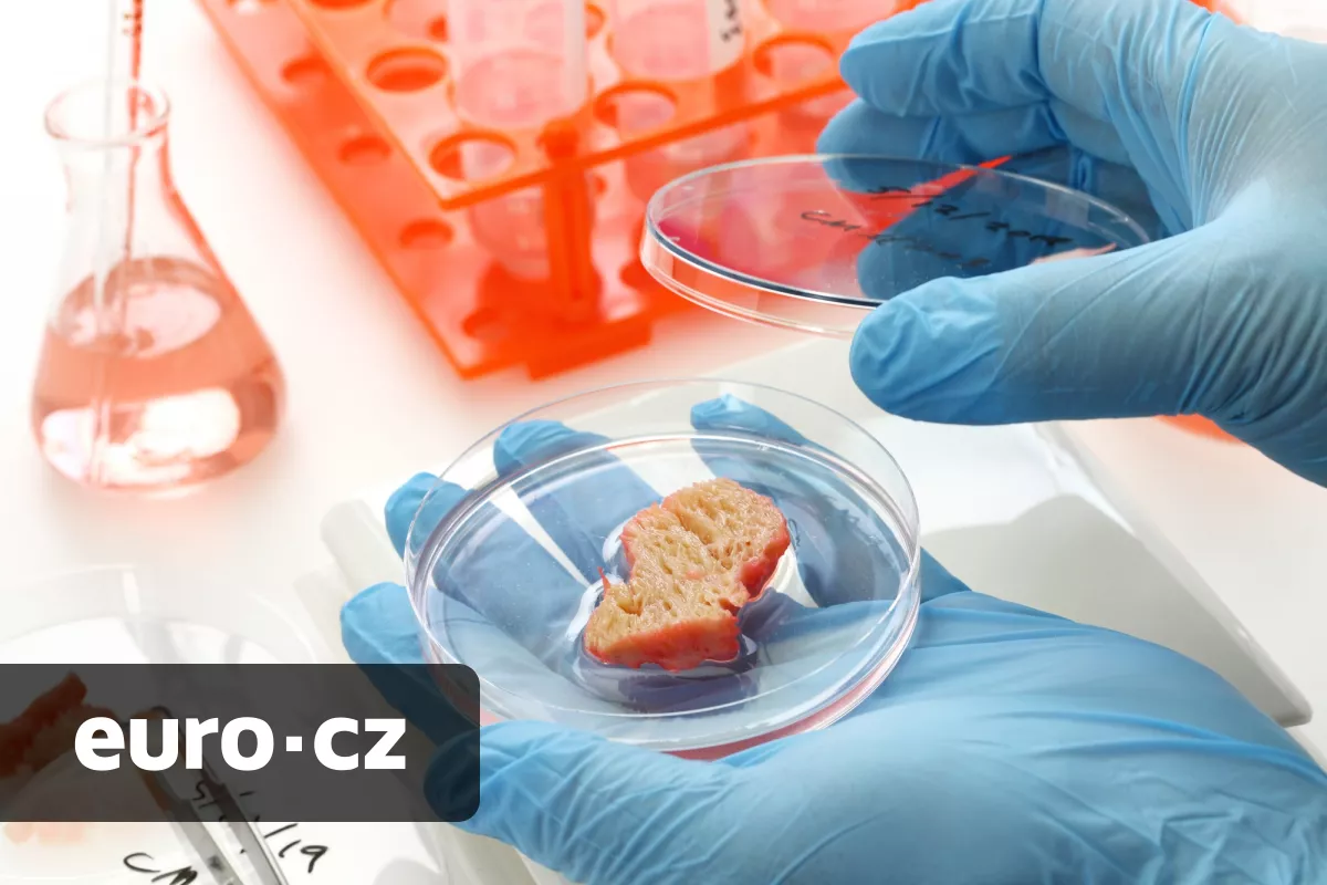 Revoluce na poli umělého masa? Američtí vědci přišli s unikátní metodou, která má podstatně snížit jeho výrobní náklady