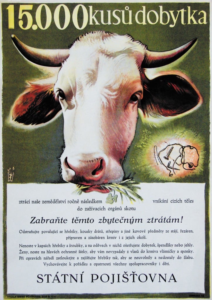 oo_česká pojišťovna
