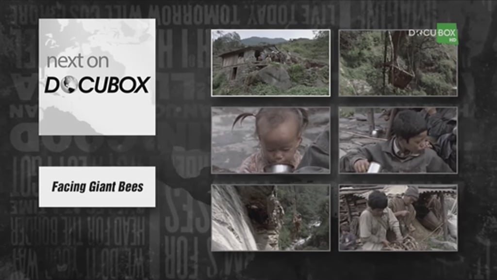 Nejzajímavější satelitní kanály během října