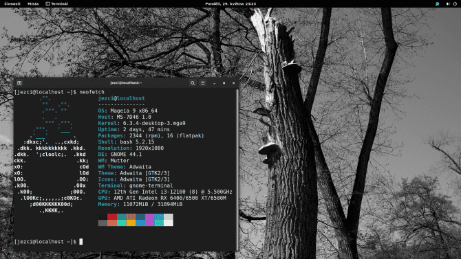 Mageia 9 s GNOME 44.1