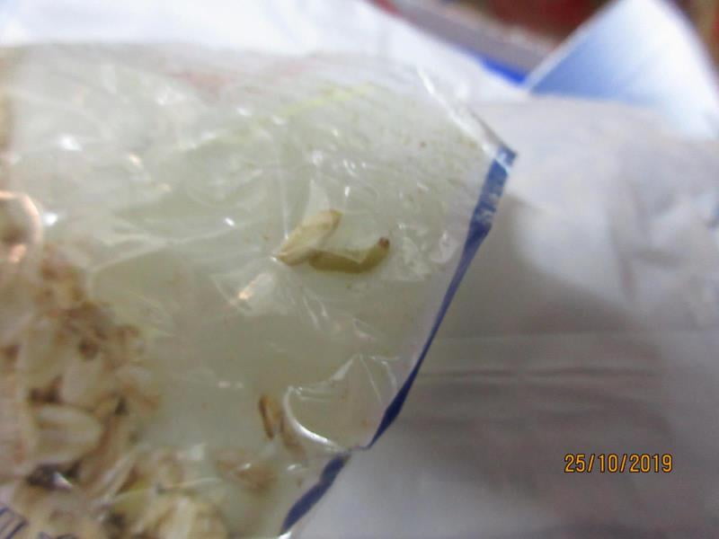 Nebezpečné potraviny - prodejce XUÂN HA LÉ, BALA potraviny, Stráž pod Ralskem nabízel obilné výrobky s výskytem škůdců. Obaly výrobků byly znečištěný a poškozeny činností škůdců. Stopy po činnosti škůdců byly zjištěny i uvnitř balení. Výskyt mrtvých škůdců v různých fázích vývoje a stop po jejich činnosti byl zjištěn i na regále, kde byly výrobky nabízeny k prodeji.