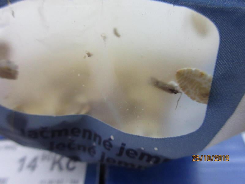 Nebezpečné potraviny - prodejce XUÂN HA LÉ, BALA potraviny, Stráž pod Ralskem nabízel obilné výrobky s výskytem škůdců. Obaly výrobků byly znečištěný a poškozeny činností škůdců. Stopy po činnosti škůdců byly zjištěny i uvnitř balení. Výskyt mrtvých škůdců v různých fázích vývoje a stop po jejich činnosti byl zjištěn i na regále, kde byly výrobky nabízeny k prodeji.