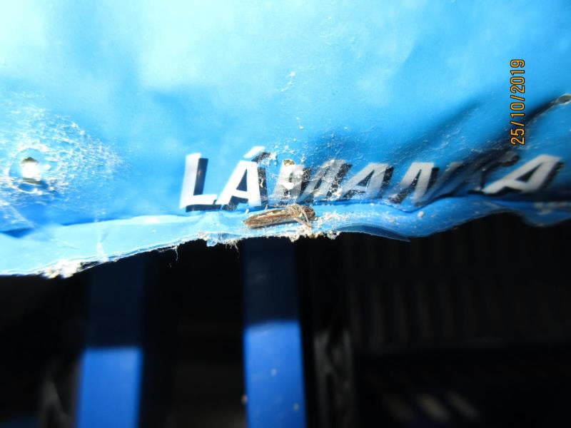 Nebezpečné potraviny - prodejce XUÂN HA LÉ, BALA potraviny, Stráž pod Ralskem nabízel obilné výrobky s výskytem škůdců. Obaly výrobků byly znečištěný a poškozeny činností škůdců. Stopy po činnosti škůdců byly zjištěny i uvnitř balení. Výskyt mrtvých škůdců v různých fázích vývoje a stop po jejich činnosti byl zjištěn i na regále, kde byly výrobky nabízeny k prodeji.