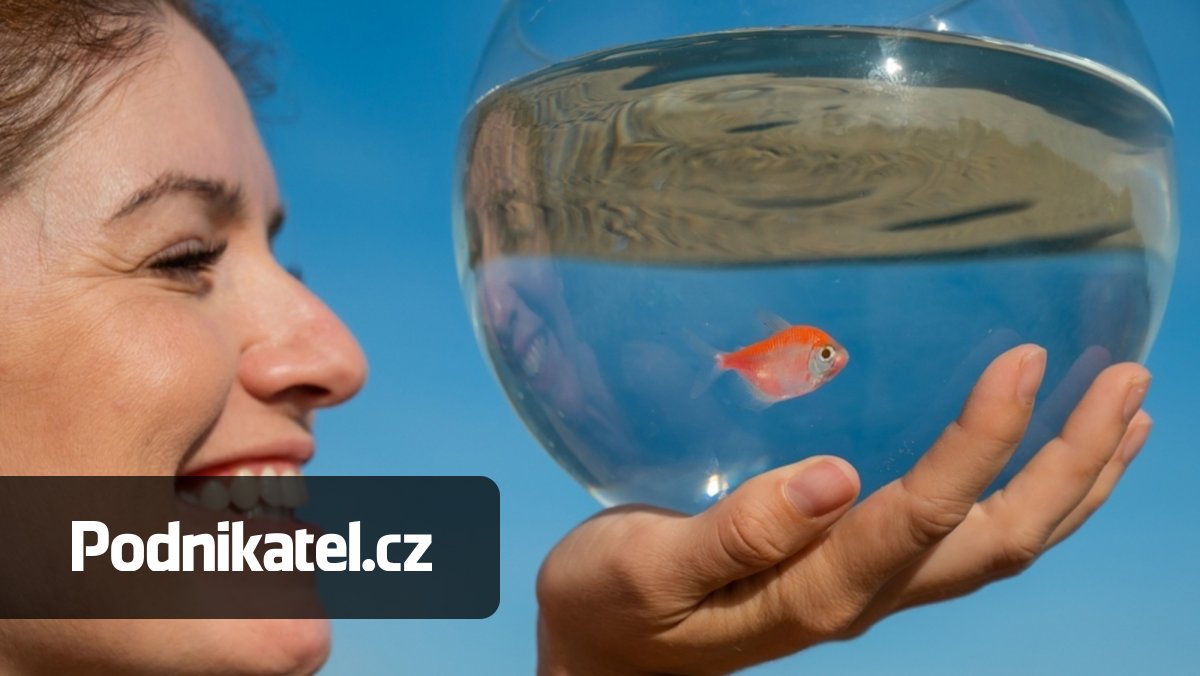 Generace Z není akvarijní rybka. Co musíte vědět o marketingu pro ni?