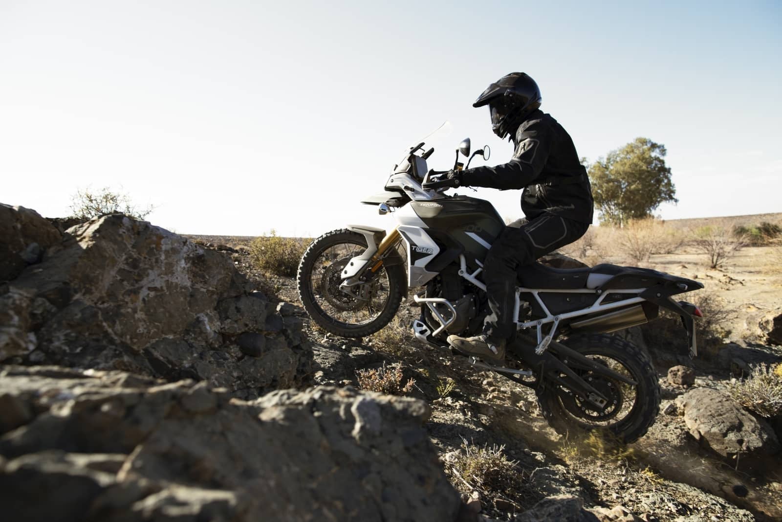 2019-12-TriumphTiger900046.jpg