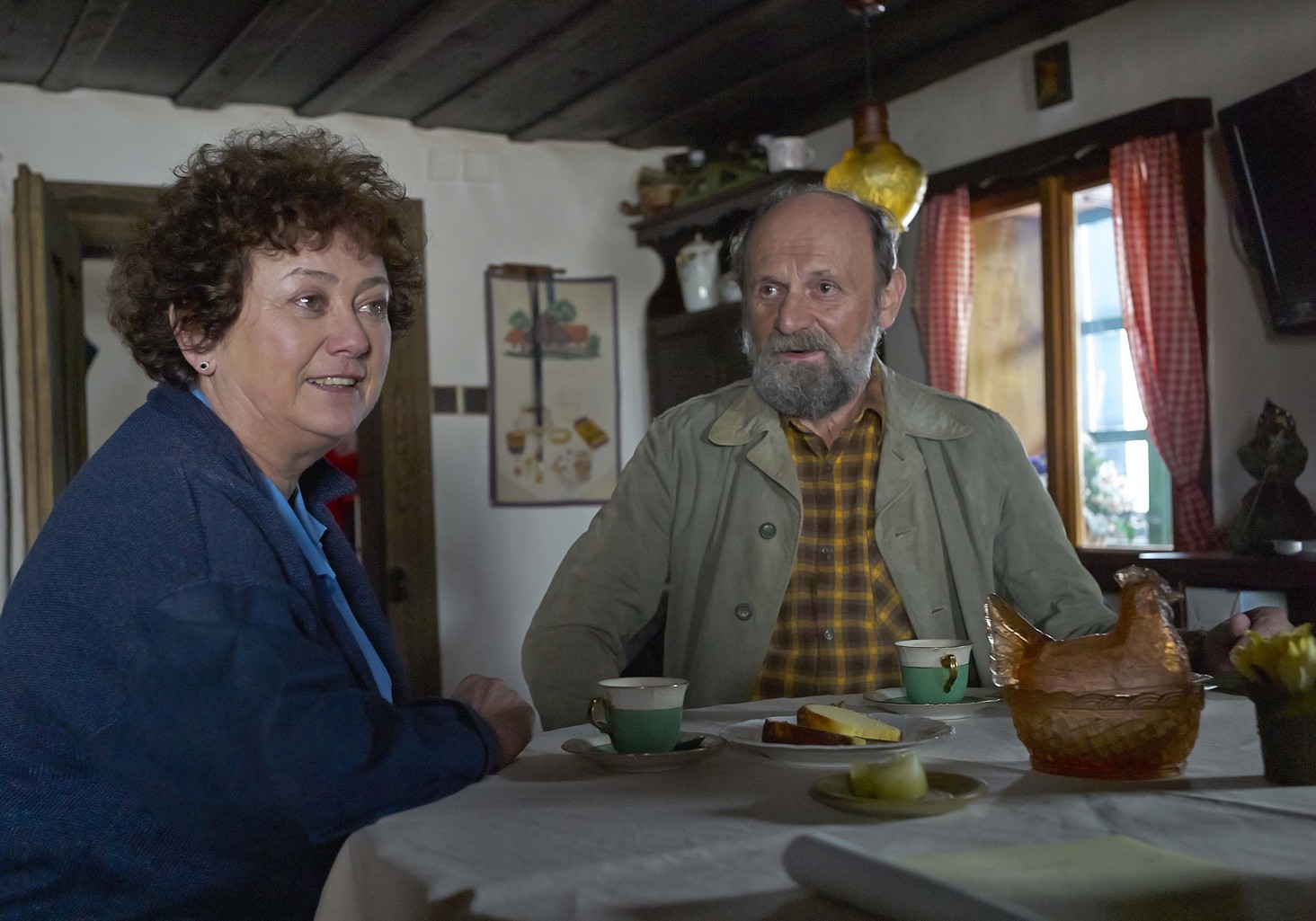 Policie Modrava na obrazovce televize Nova