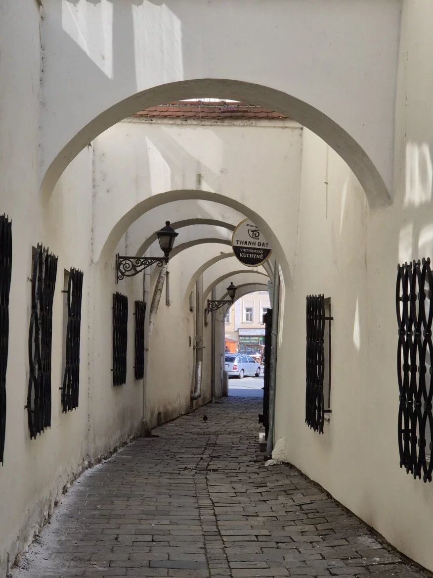 3násobný optický zoom