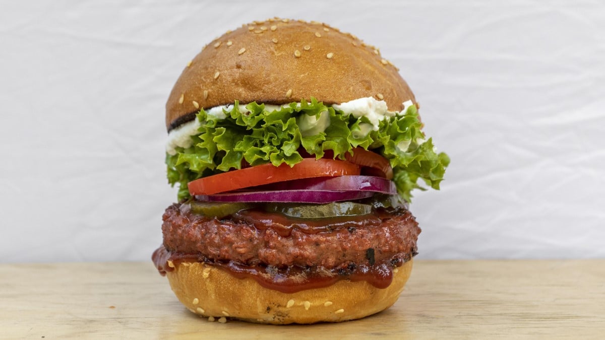 Vegangrill: české veganské burgery