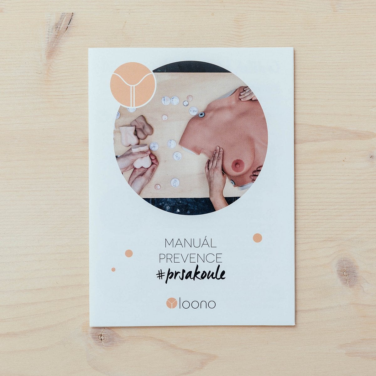 Jak to vypadá na workshopu #prsakoule