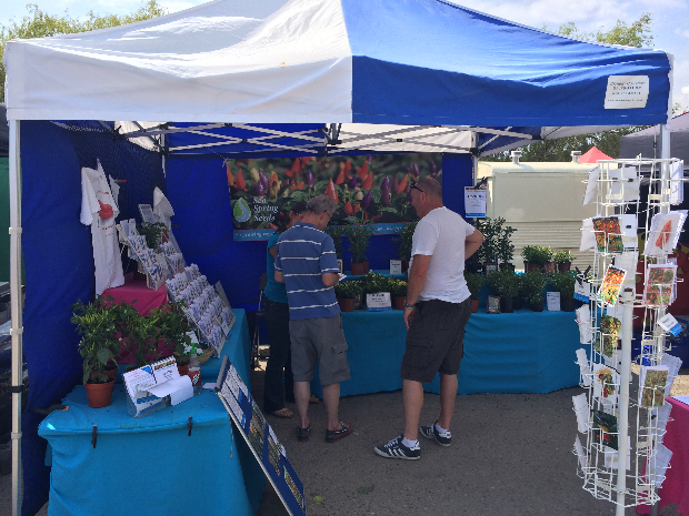 Cheese and Chilli Festival