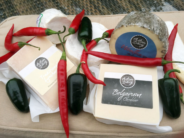 Cheese and Chilli Festival