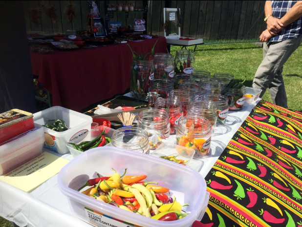 Cheese and Chilli Festival