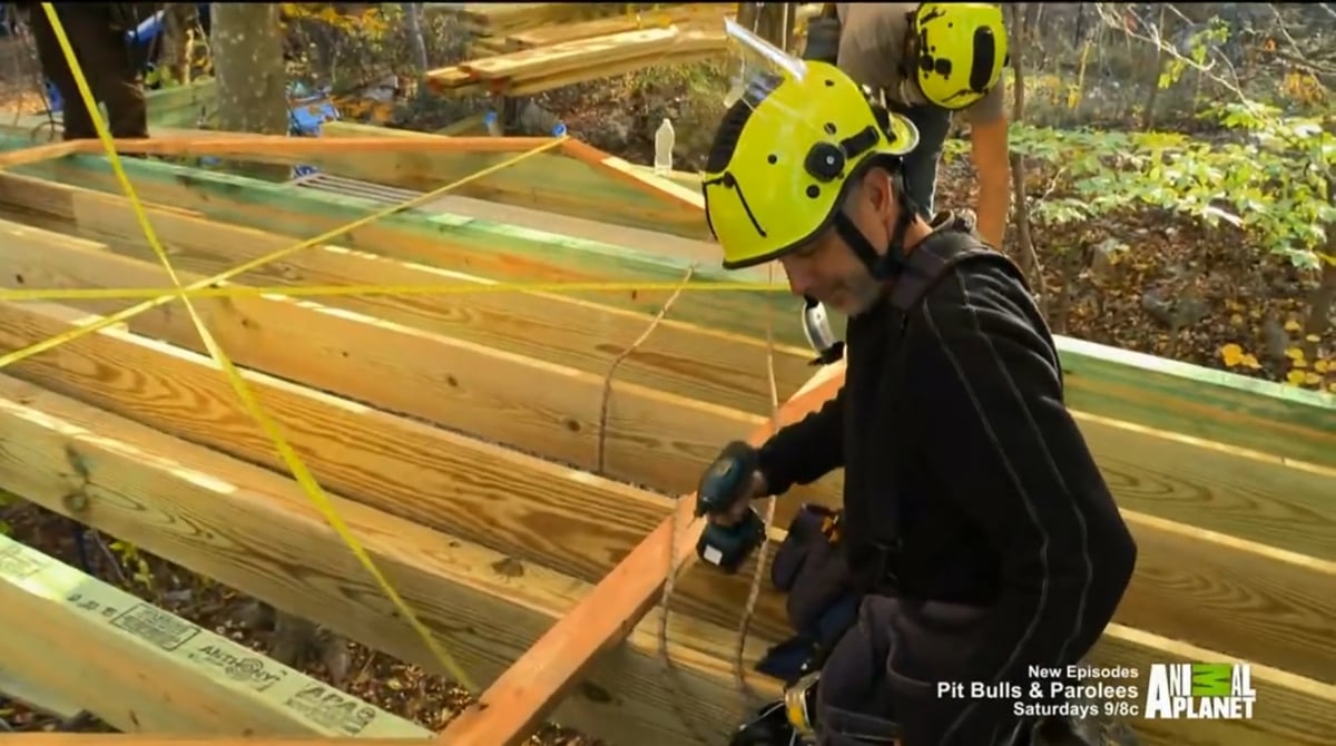 DirecTV - Živé vysílání