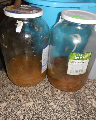 Pivovarská restaurace, Broumov 