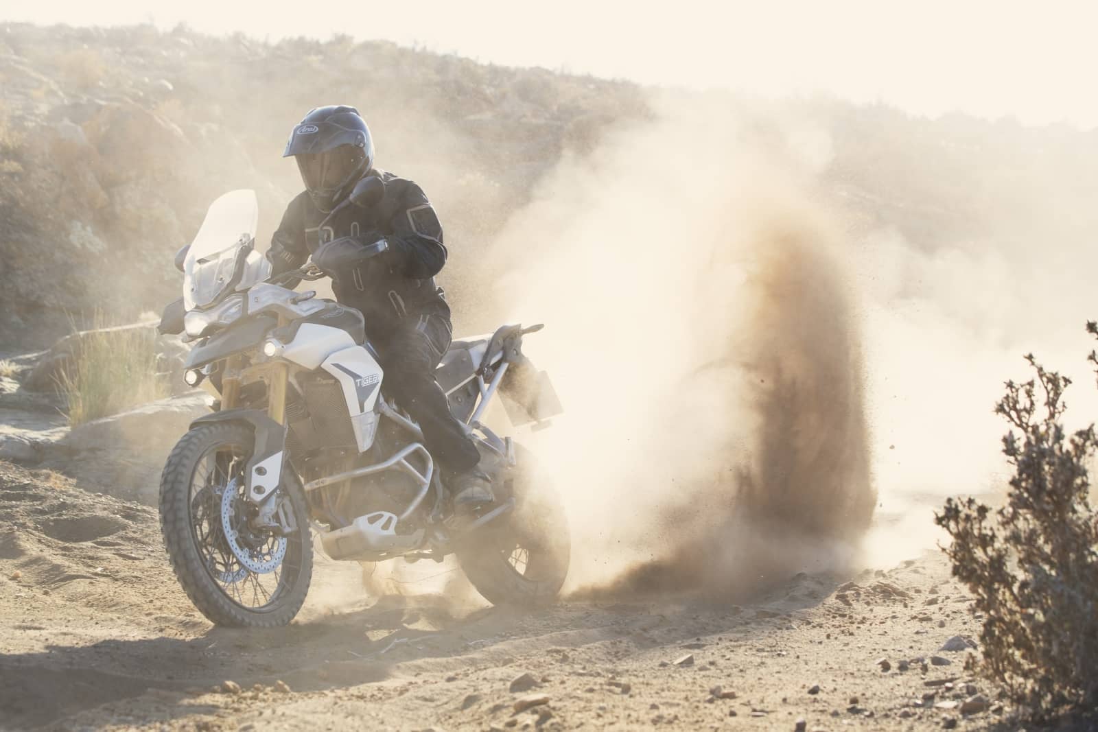 2019-12-TriumphTiger900044.jpg