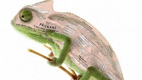 Náhledový obrázek - Daňový chameleon