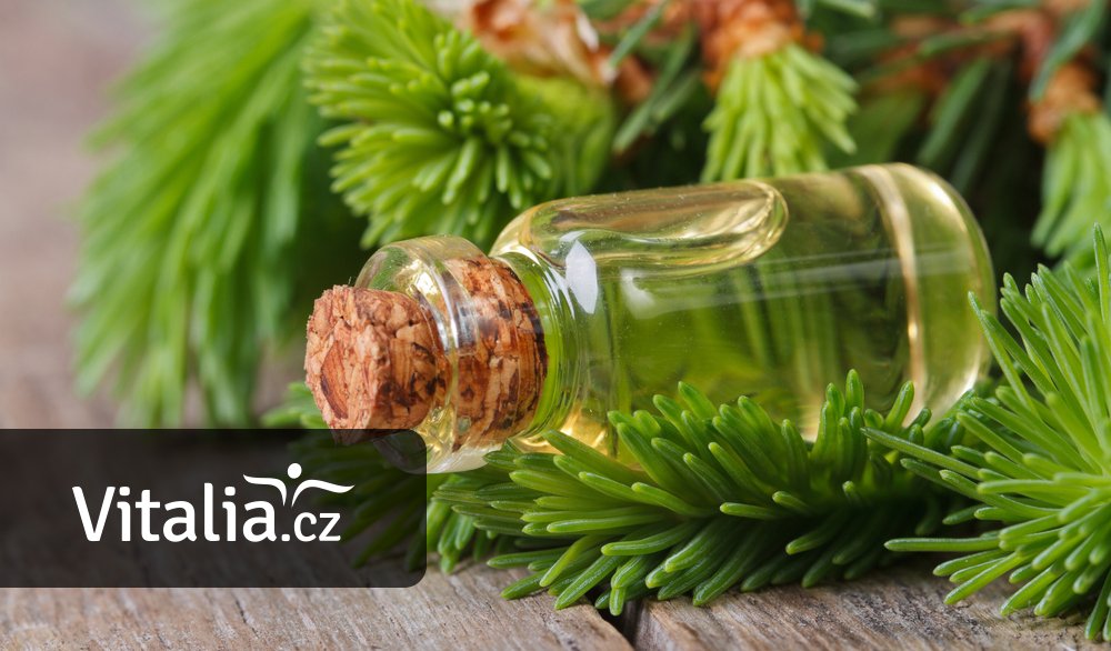 Smrkový sirup si můžete vyrobit sami. Připravuje se z mladých výhonků