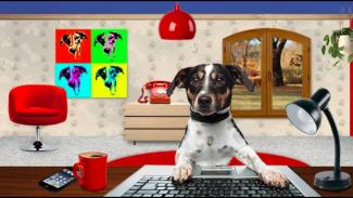 Lupa.cz: Co se děje v Seznamu? Vyměnil většinu šéfů