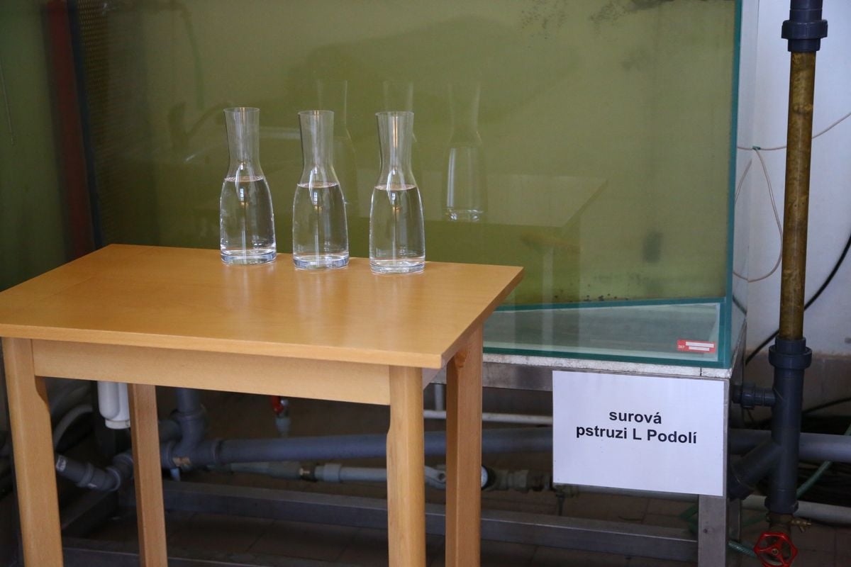 Voda z Vltavy před a po úpravě na pitnou: teď z kohoutků v Praze