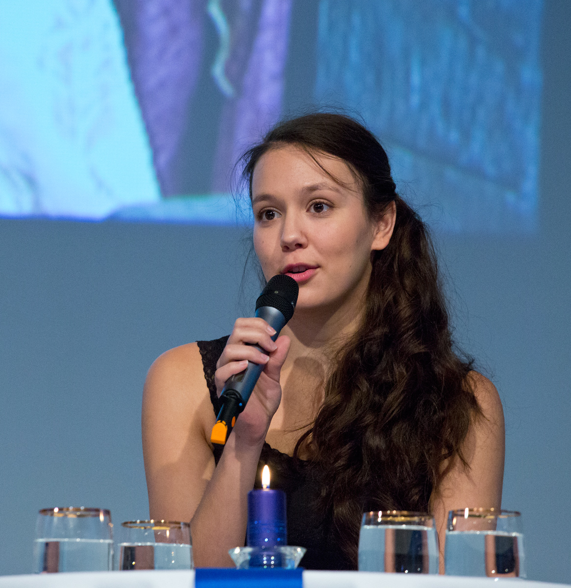 Česká televize představila programové schéma pro Vánoce 2014