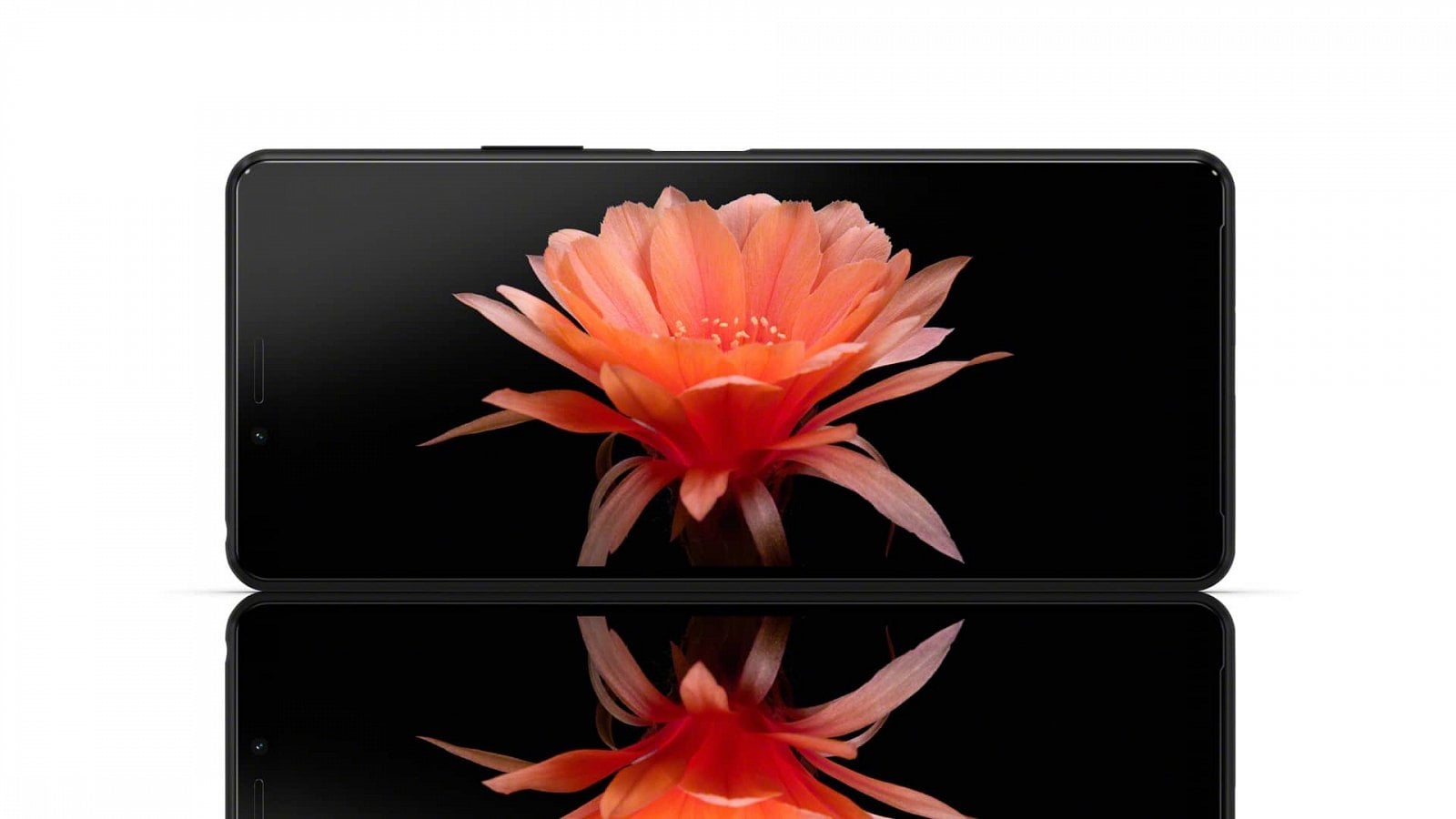 2020-02-Xperia-10-II_Display.jpg