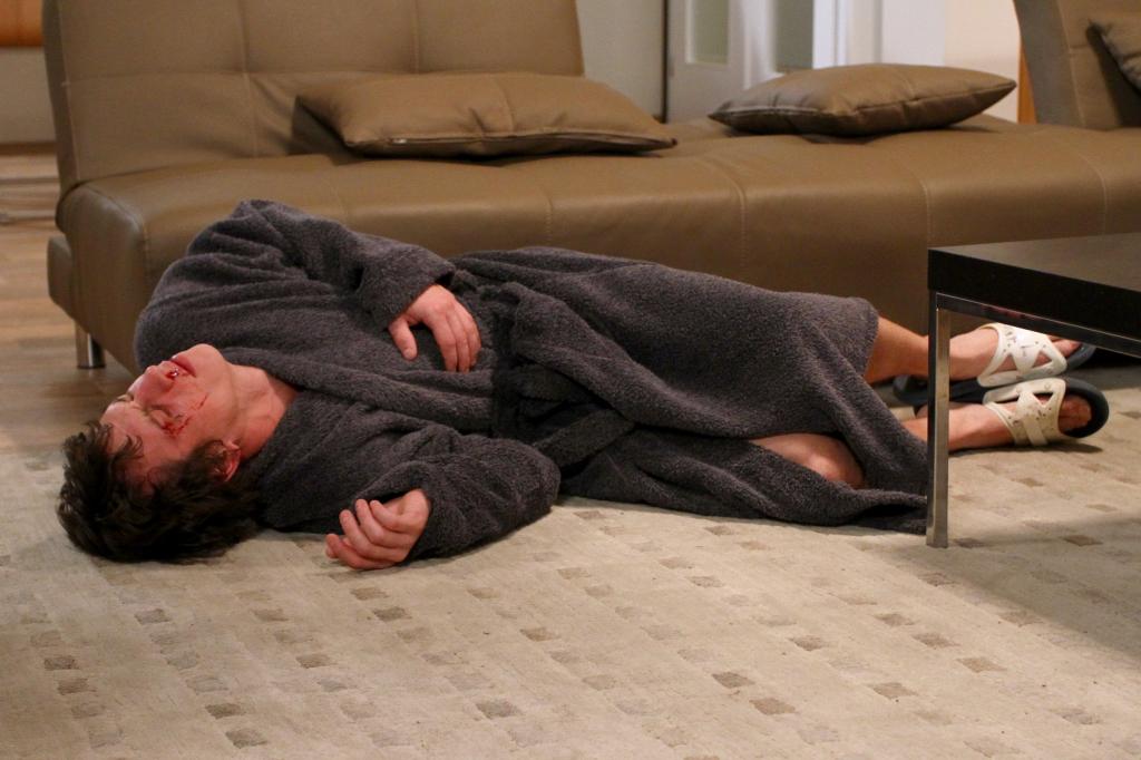 Cesty domů - jaro 2013