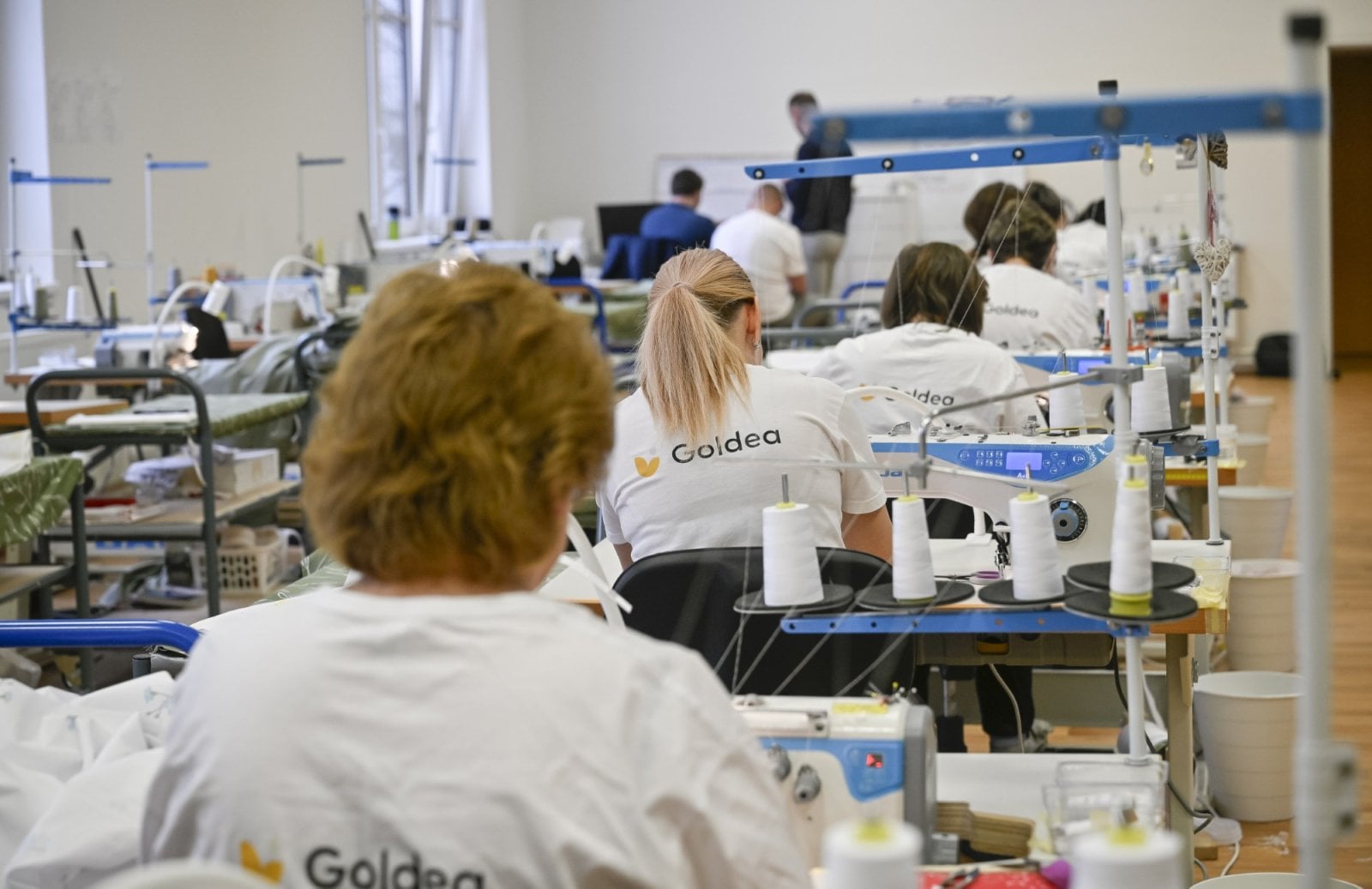 Pohled do dílny Goldea