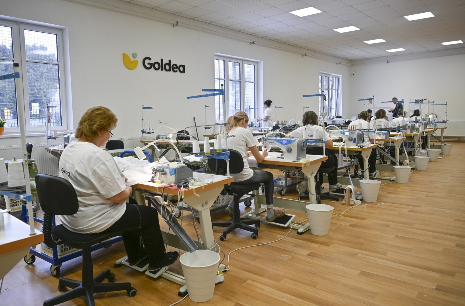 Pohled do dílny Goldea