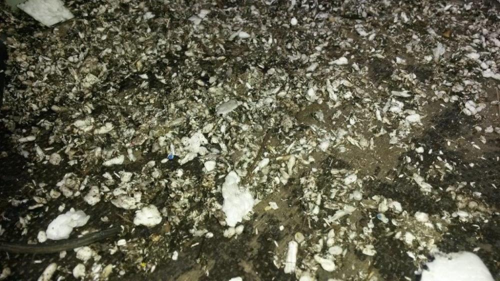 Tyto prostory se musely okamžitě uzavřít. Samá špína a plíseň.