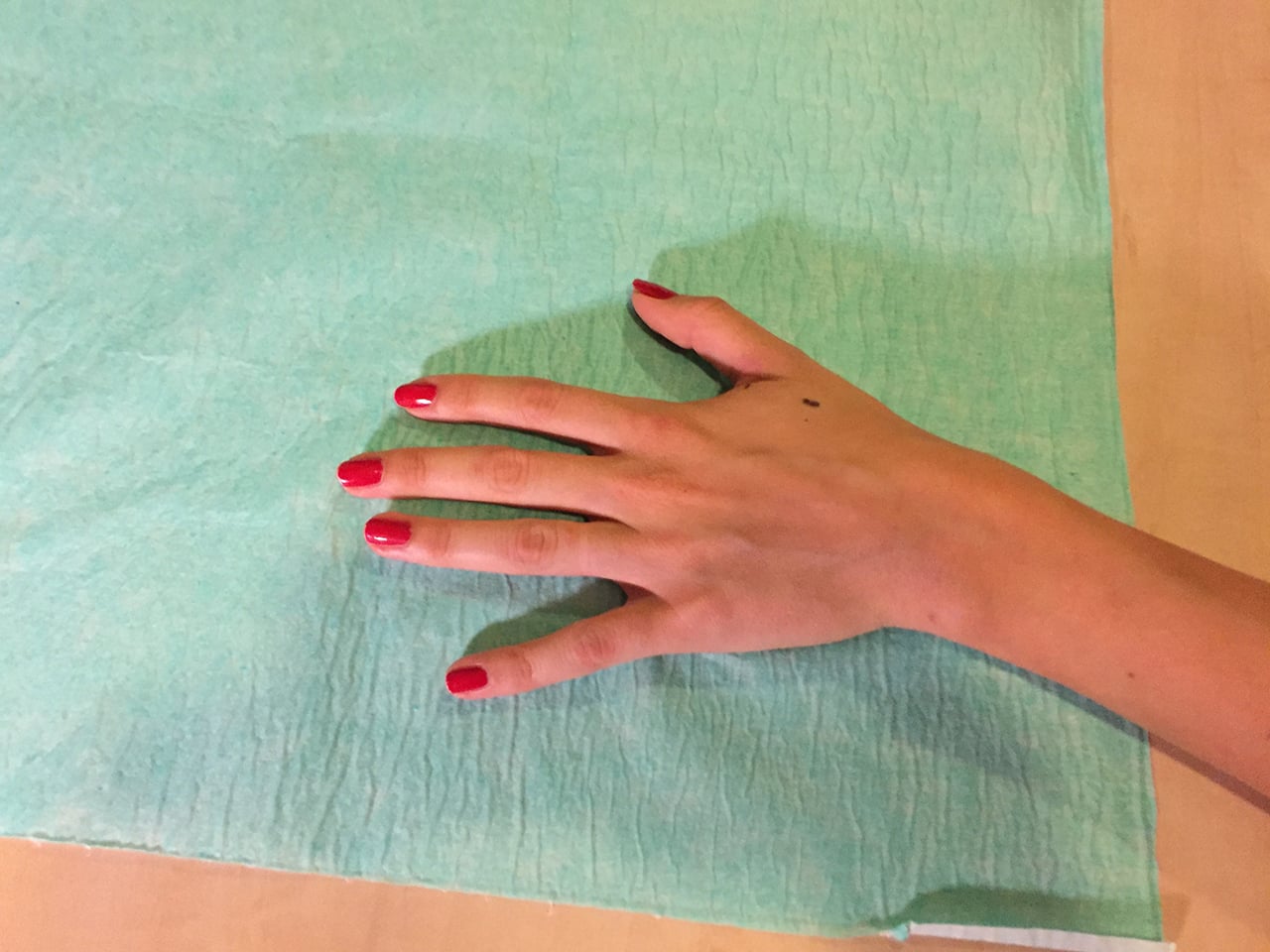 Druhá várka čipování lidí v Česku (16. září 2016, Praha)