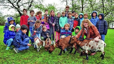 Náhledový obrázek - Utrpení malého génia. České školy netuší, co s nadanými žáky