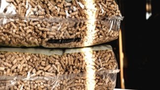 Reflexpixel / stock.adobe.com