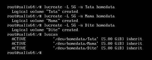 Salix: práce s disky