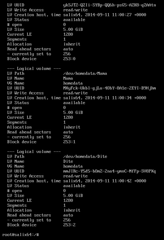 Salix: práce s disky