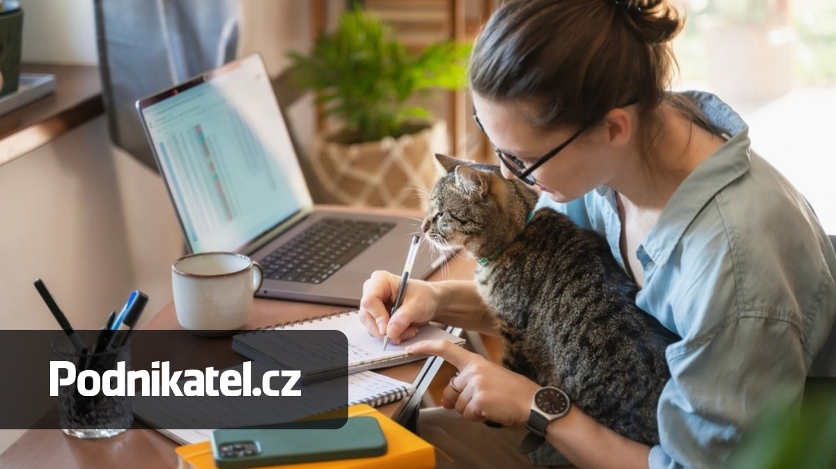 Home office bez válek: Co se naučit z dat, než vám odejdou klíčoví zaměstnanci