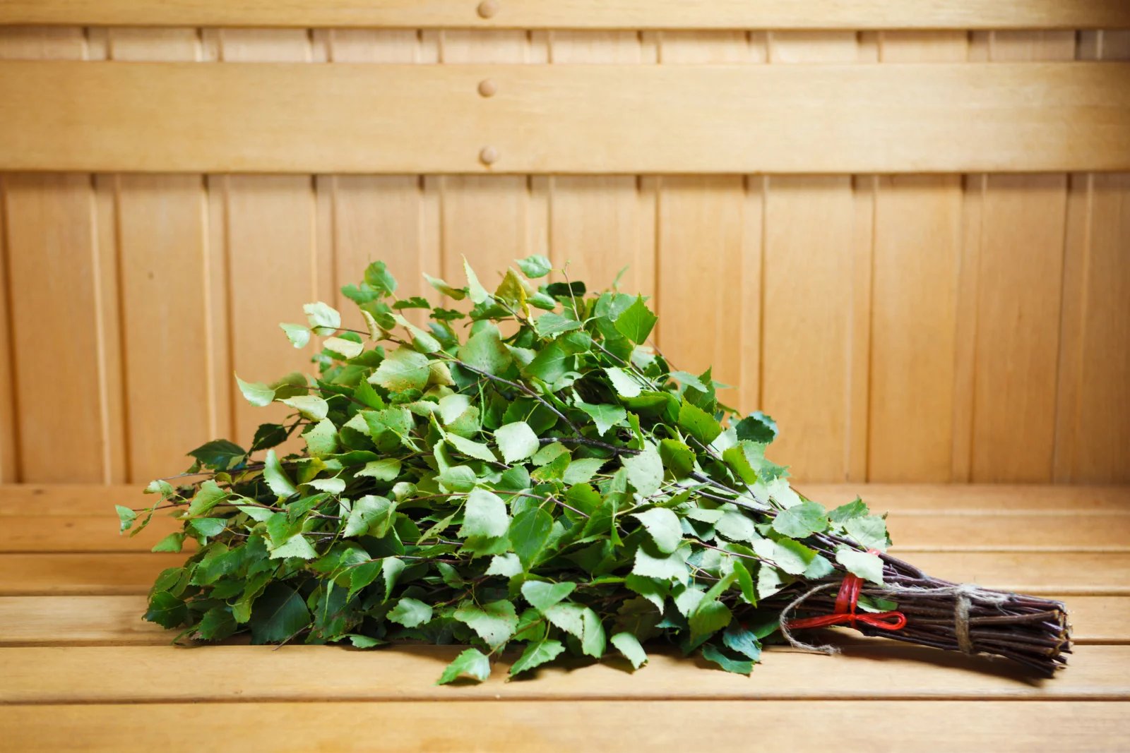 Pro lepší pocit ze saunování se saunující ve Finsku často šlehají březovými metlami s listím (finsky vihta nebo vasta). Přivádějí si jím více tepla na kůži a vdechují éterické látky z rozdrcených březových listů. V České republice se k prokrvení kůže používají různé pomůcky (kartáče, žínky) a hlavně cílená automasáž.