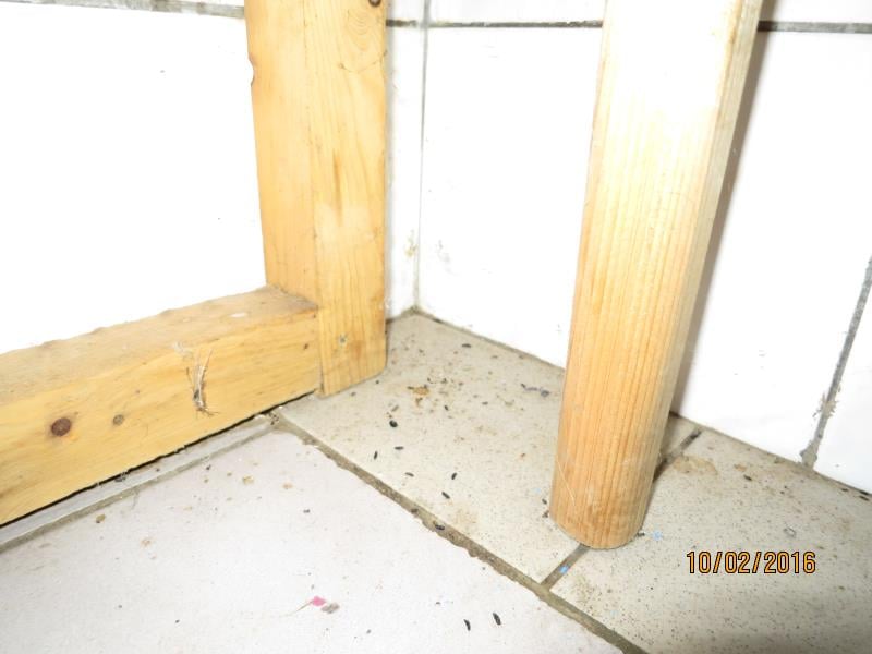 Roman Šilhavý, Zámecká Hospoda, Horka. Zjištěné skutečnosti: Výskyt myšího trusu, výskyt plísní na provozovně, výrazně zanedbaný úklid, hromadění odpadů, nečistoty na podlaze, na regálech či zařízeních, poškození stěn