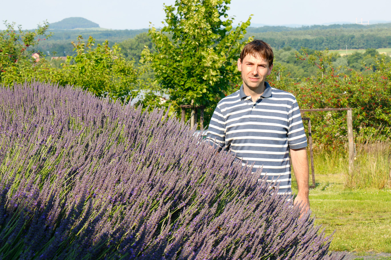 Levandulová farma po Řípem