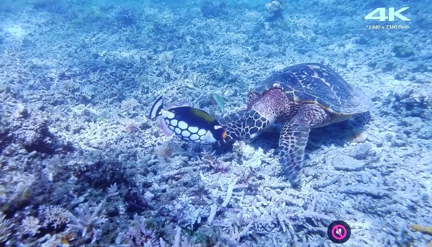 LG OLED65E6 - multimédia a HDR