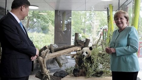 Náhledový obrázek - Pandí diplomacie v praxi: Merkelová a Si otevřeli nový pavilon v berlínské zoo