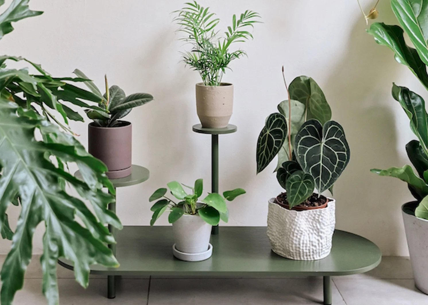 Květinové stolky nesměly ještě v 80. letech minulého století chybět v žádné domácnosti. Pak ale jejich popularita slábla a zhruba na přelomu milénia se úplně vytratily. Nyní se jejich obliba ale vrací, jak ukazuje zájem o výrobky českého studia Master & Master.
„V posledních dvou dekádách z domácností květinový stolek zmizel, podobně jako třeba vitrína nebo příborník. Ale nyní se jejich potřeba navrací. Lidem už nestačí položit si květinu na komodu nebo polici. Tvoří si doma zátiší z pokojovek,“ popisuje Ondřej Zita, který spolu s Luďkem Šteiglem za značkou Master & Master stojí.