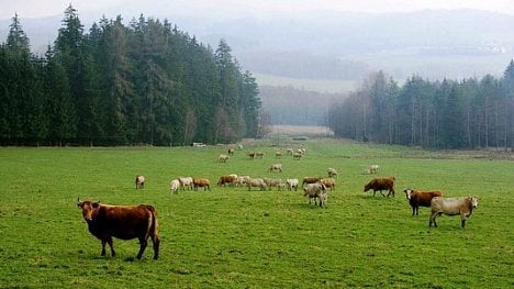 Náhledový obrázek - Jak rančeři osedlali dotace