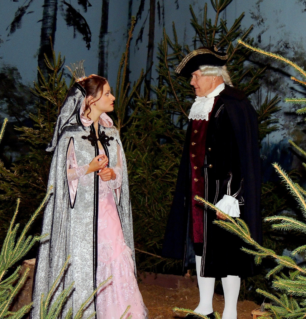 Vánoční království: první pohádka České televize pro neslyšící