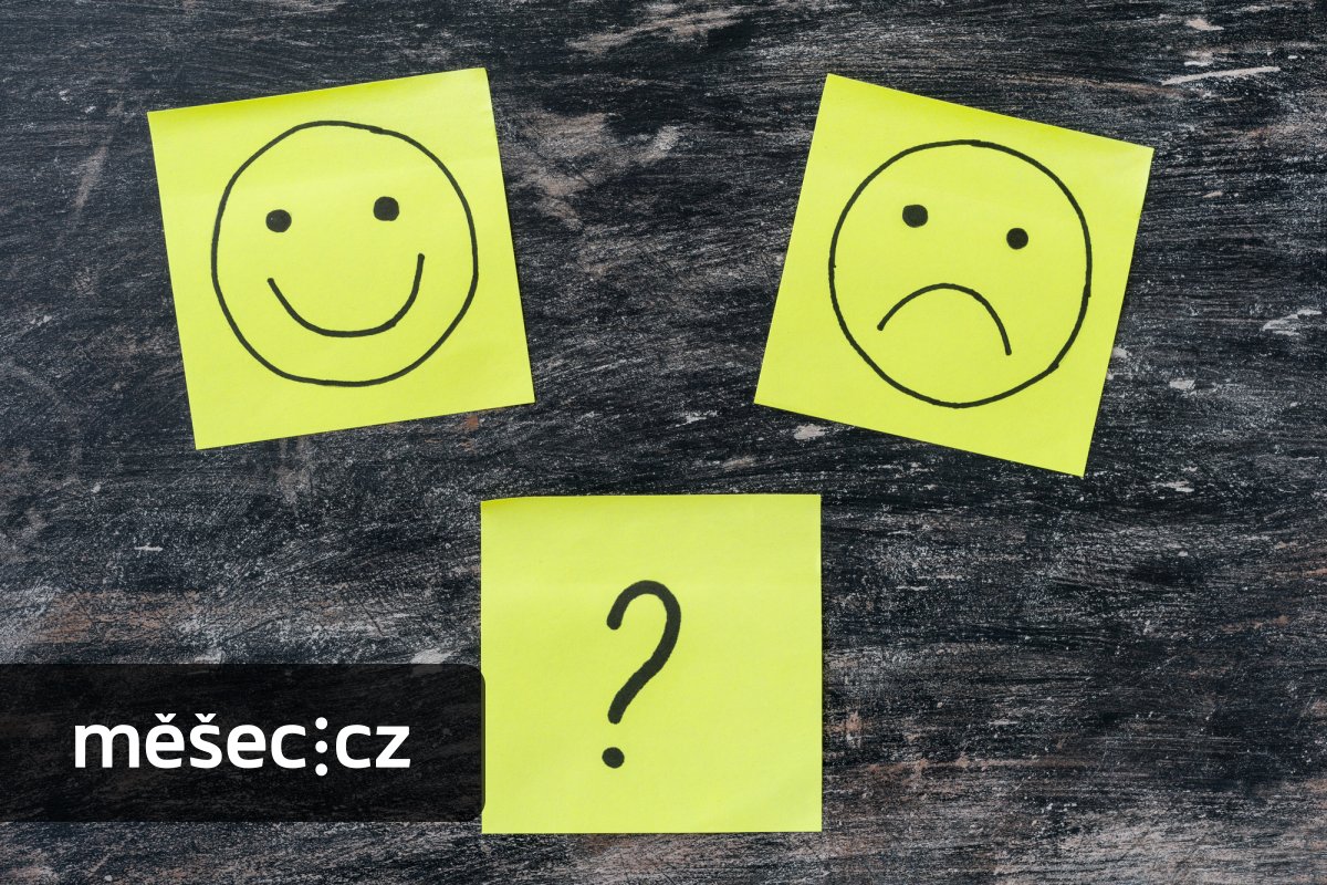 Online přístup ke státním portálům. Zřídíte ho na dálku, nebo budete muset na úřad?
