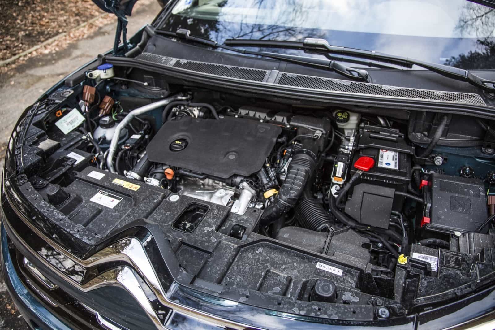 2019-02-C5-16.jpg