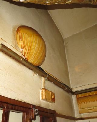 Lan Ting Čínská restaurace, Praha 