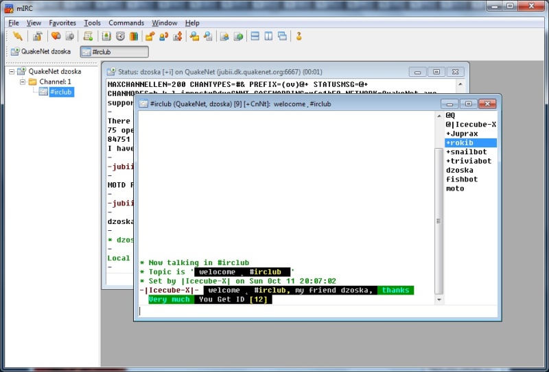 <p>Komunikace v síti IRC je podobná klasickému chatu na internetu, s tím, že máte mnohem více možností</p>